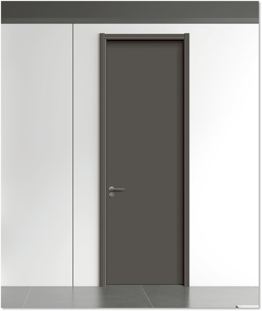Modern Minimalist Door in Interior