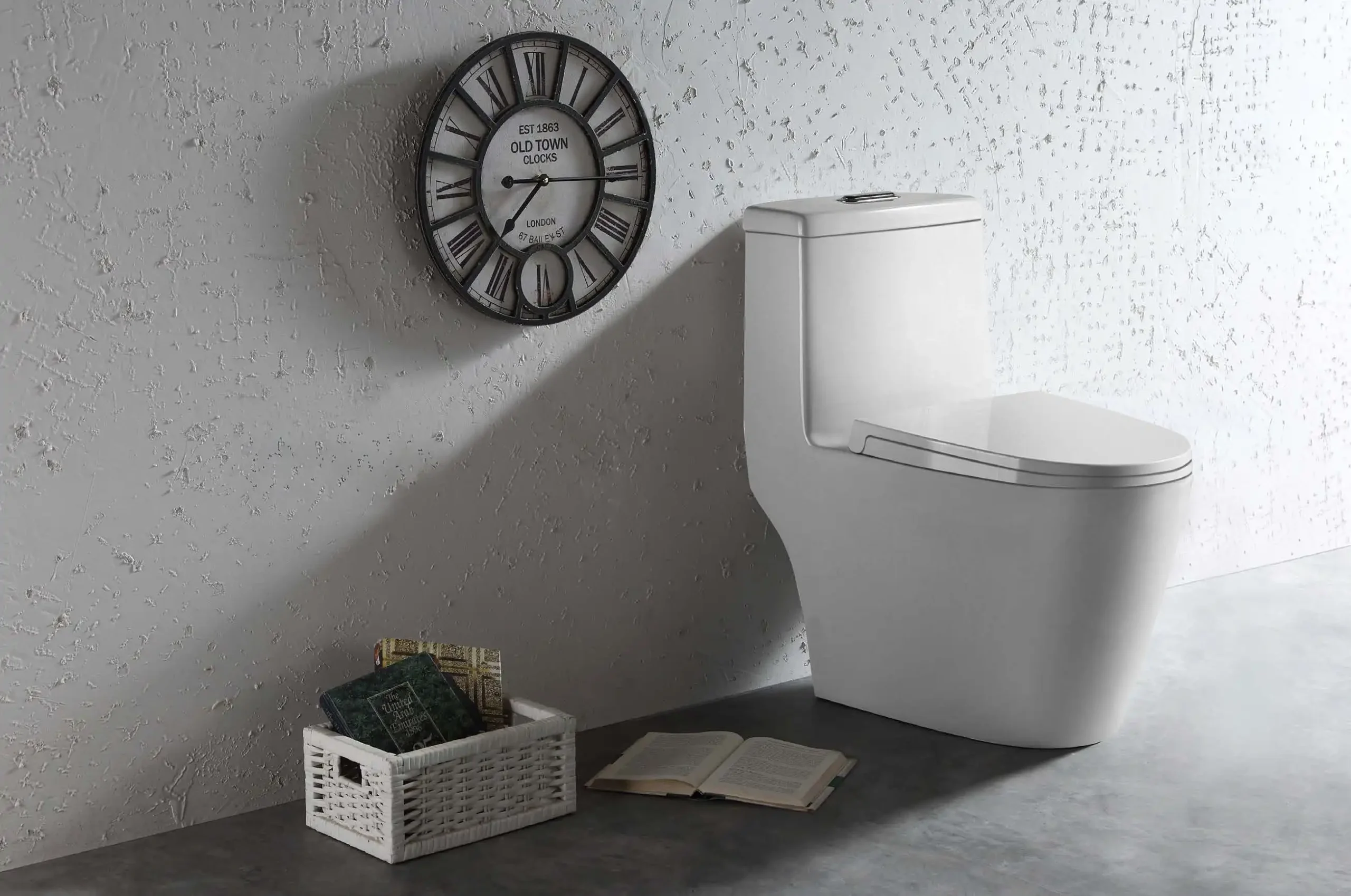 Sleek one-piece toilet design with a modern look from a top sanitary ware manufacturer
