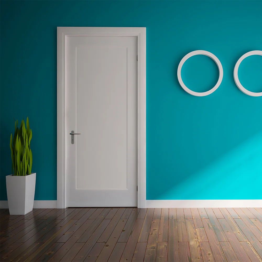 white single-shaker-door disign